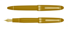 Load image into Gallery viewer, Sailor 1911 Standard Fountain Pen - Pirate's Life