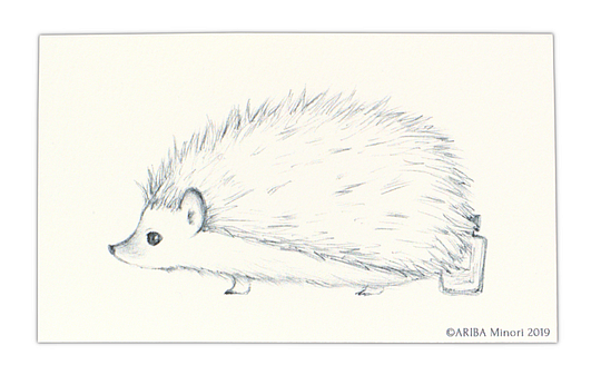 ARIBA Minori Coloring Card - Hedgehog