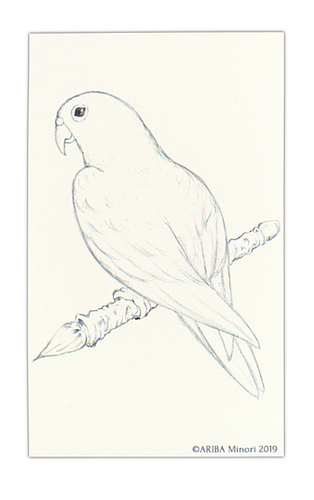 ARIBA Minori Coloring Card - Parakeet